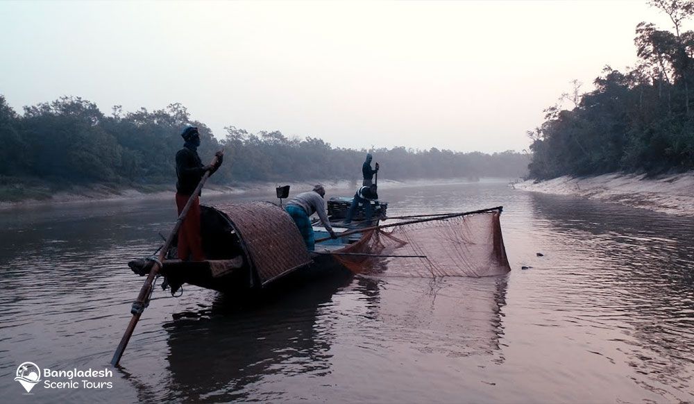 otter fishing in Bangladesh